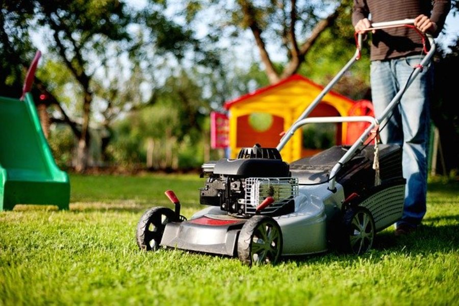Comment entretenir sa pelouse au printemps ?