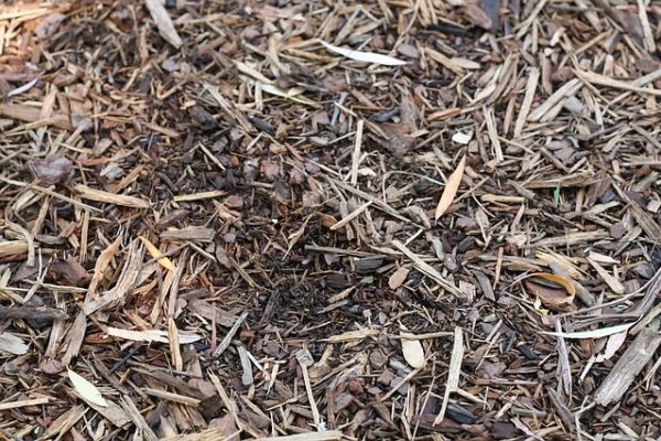 jardin-sans-entretien-id2b-paillage.jpg jardin-sans-entretien-id2b-paillage.jpg
