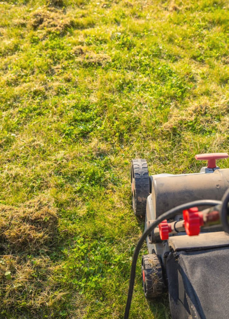 Comment scarifier son gazon les conseils de paysagiste ID2B